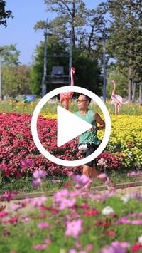 BIB:  <button type="button" onclick="openModal(27588445)" class="btn btn-primary btn-sm float-right" data-toggle="modal" data-target=".modal-high-quality">
                <i class="fa fa-download"></i> Download
                </button>